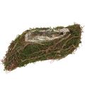 Floristik24 Malá miska Plant Wave Vines s machom 31 × 15 × 7 cm