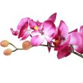 Floristik24 Umelé orchidey v kvetináči Phalaenopsis umelé kvety orchidey ružové 34cm