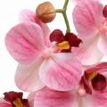 Floristik24 Umelá vetvička orchidey Phaelaenopsis Pink H49cm