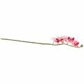 Floristik24 Umelá vetvička orchidey Phaelaenopsis Pink H49cm