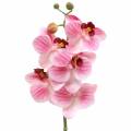 Floristik24 Umelá vetvička orchidey Phaelaenopsis Pink H49cm