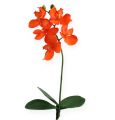 Floristik24 Umelá orchidea s oranžovými listami 35cm