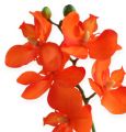 Floristik24 Umelá orchidea s oranžovými listami 35cm