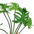 Floristik24 Filodendron rastlina umelá zelená 58cm
