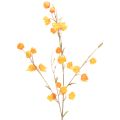Floristik24 Umelá rastlina čínskeho lampióna, vetvička Physalis s kvetmi, 95 cm