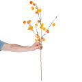 Umelá rastlina čínskeho lampióna, vetvička Physalis s kvetmi, 95 cm | Floristik24.sk