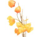 Umelá rastlina čínskeho lampióna, vetvička Physalis s kvetmi, 95 cm | Floristik24.sk