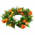 Umelý veniec z Physalis, oranžový a zelený, Ø28cm, jesenná dekorácia | Floristik24.sk