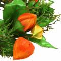 Umelý veniec z Physalis, oranžový a zelený, Ø28cm, jesenná dekorácia | Floristik24.sk