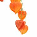 Floristik24 Physalis vetvička umelá oranžová 78cm