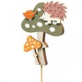 Floristik24 Kvetinová zátka muchotrávka deko ježko jesenná dekorácia 8cm 12ks