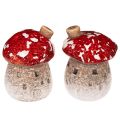 Floristik24 Dekorácia na domček s hubami Miniatúrna muchotrávka 6 cm 2 ks