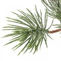Floristik24 Vianočné konáre umelá borovicová vetva zasnežená 30cm 6ks