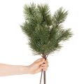 Umelá borovicová vetvička ako dekoratívna jedľová vetvička, 55 cm, 3 kusy | Floristik24.sk