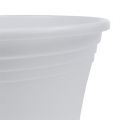 Floristik24 Plastový hrniec “Irys” biely Ø15cm V13cm, 1ks