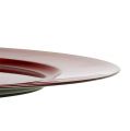 Floristik24 Plastový tanier Ø25cm červený s efektom glazúry