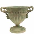 Floristik24 Miska na trofej Shabby Chic Green Ø19cm V18cm