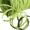 Floristik24 Rafiová stuha zelená, hnedá, poly rafia 200m
