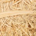 Zväzky z prírodnej rafie na kvetinárstvo a darčekové balenie, 1 kg | Floristik24.sk