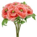 Floristik24 Ranunculus ružovo-ružový 27cm 8ks