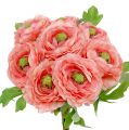 Floristik24 Ranunculus ružovo-ružový 27cm 8ks