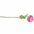 Floristik24 Ranunculus ružový umelý 48cm