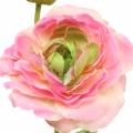Floristik24 Kvet ranunculus a púčik umelý ružový 34cm