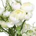 Floristik24 Ranunculus Kytica Umelé kvety Hodvábne kvety Biele L37cm