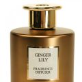 Floristik24 Izbový vonný difuzér vonné tyčinky Ginger Lily 150ml