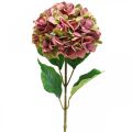 Floristik24 Hortenzia umelá ružová, bordeaux umelý kvet veľký 80cm