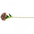 Floristik24 Hortenzia umelá ružová, bordeaux umelý kvet veľký 80cm
