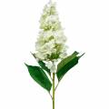 Floristik24 Panicle Hydrangea Cream White Umelá Hydrangea Silk Flower 98cm