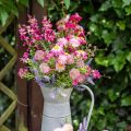 Floristik24 Rhodanthe ružovo-ružová, hodvábne kvety, umelá rastlina, strapec slamených kvetov L46cm
