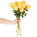 Umelá ruža s dlhou stonkou, umelý kvet, 62 cm, 12 kusov | Floristik24.sk