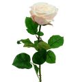 Floristik24 Krémová umelá ruža 69cm