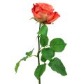 Floristik24 Ruža umelý kvet losos 67,5cm