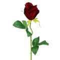 Floristik24 Umelá ruža červená Ø6cm L50cm