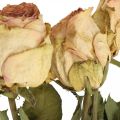 Floristik24 Dekoračné ruže, sušený kvet, sušené ruže, Valentín, pohrebné kvety, ruže rustikálne žlto-ružové L48cm 5ks