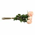 Floristik24 Kytica umelá ruža marhuľa 8 kusov