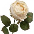 Floristik24 Ruža Krémový hodvábny kvet Umelá ruža L74cm Ø7cm