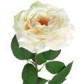Floristik24 Krémovo biela marhuľová ruža, hodvábny kvet, umelé ruže L72cm Ø12cm