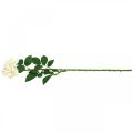 Floristik24 Hodvábny kvet, ruža na stonke, umelá rastlina krémovo biela, ružová L72cm Ø13cm
