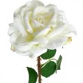 Floristik24 Biela ruža Falošná ruža na stonke Hodvábny kvet Falošná ruža L72cm Ø13cm