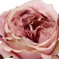 Floristik24 Krém na hlavu ruže, ružový 17cm 4ks