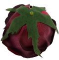 Floristik24 Hlava ruže Ø6,5cm tmavočervená 8ks