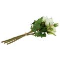 Floristik24 Kytica ruží krémová 40cm