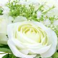 Floristik24 Kytica ruží s gypsophilou biela 26cm