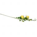 Floristik24 Konár ruže žltý 100cm