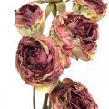 Floristik24 Umelá ruža, dekorácia na stôl, umelý kvet ružový, konárik ruže starožitný vzhľad L53cm