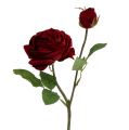 Floristik24 Zamatová ruža červená s púčikmi Ø9cm L38cm